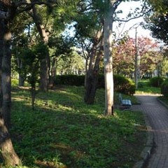 世田谷区立木の公園